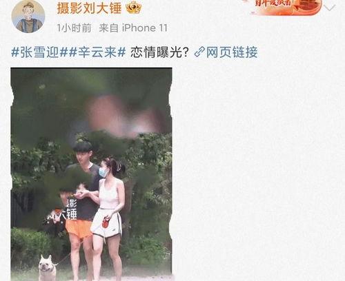 娱乐圈吃瓜劲爆视频大全,劲爆视频大盘点,吃瓜群众必看!