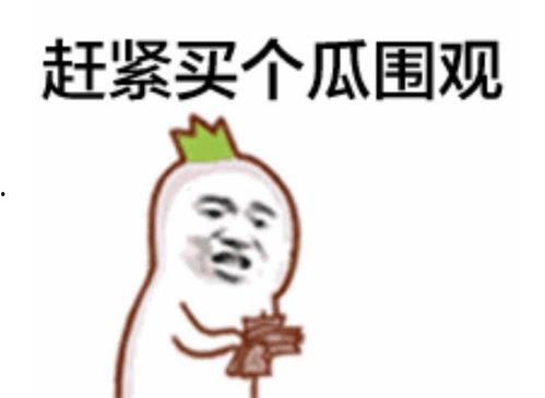 吃瓜的表情该怎么回复